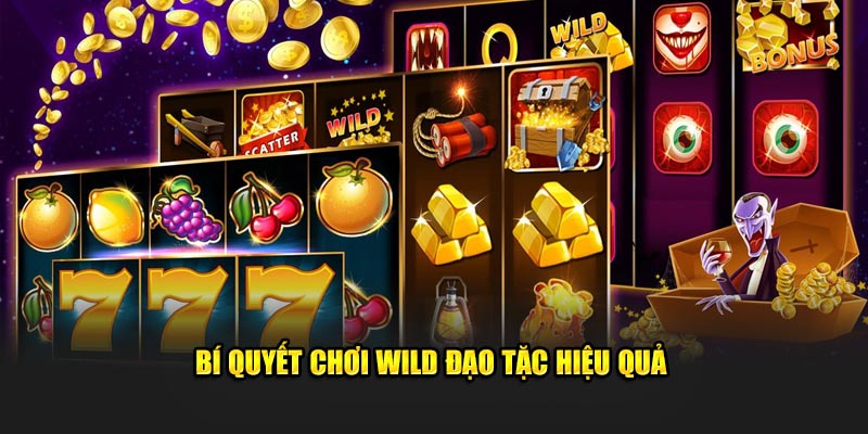 Bí quyết trải nghiệm Wild Đạo Tặc hiệu quả, an toàn