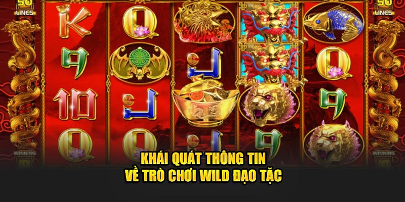 Khái quát thông tin về trò chơi Wild Đạo Tặc