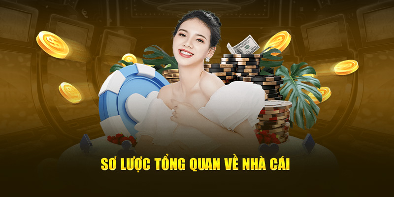 Sơ lược tổng quan về nhà cái 