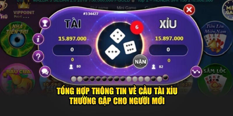 Tổng hợp thông tin về cầu tài xỉu thường gặp dành cho người mới